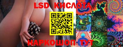 прущие крисы Дубна