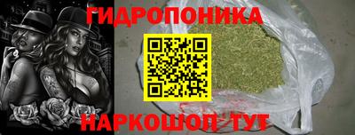 прущие крисы Дубна