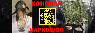 apvp Гусев