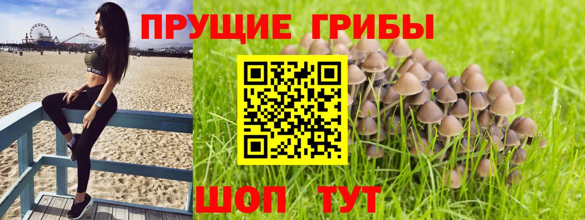 наркотики  Вход с VPN  Люберцы  Галлюциногенные грибы GOLDEN TEACHER  Псилоцибиновые грибы мухоморы 